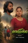 Vellarikka202026.jpg