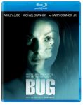 Bug202006.jpg