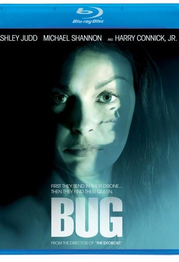 Bug202006.jpg
